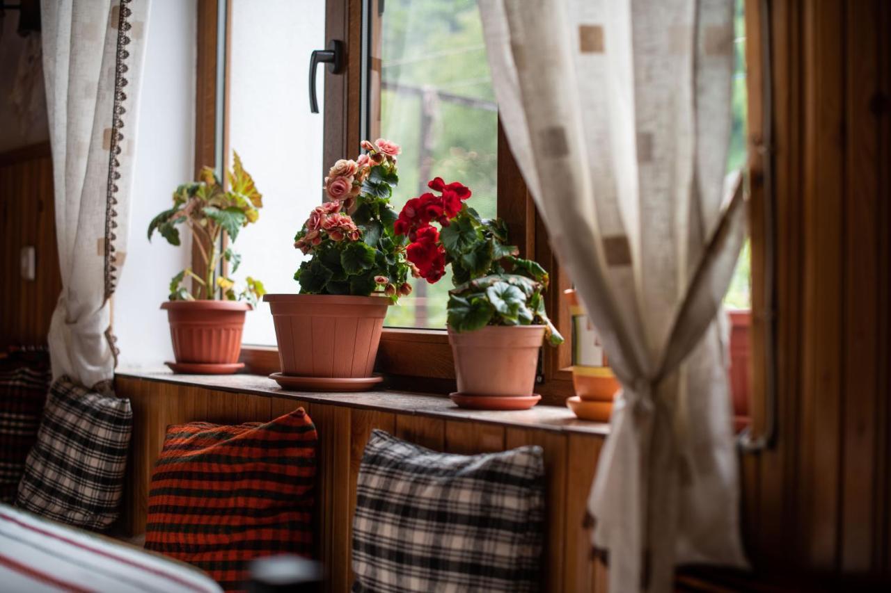 Guest House Rossy Trigrad Zewnętrze zdjęcie