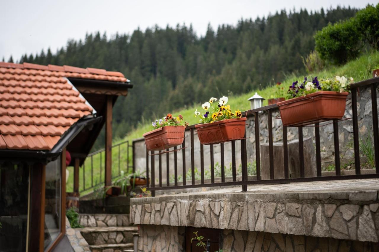 Guest House Rossy Trigrad Zewnętrze zdjęcie
